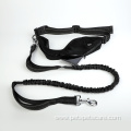 Pouch Walking Jogging Training Retractable Bungee Dog Leash